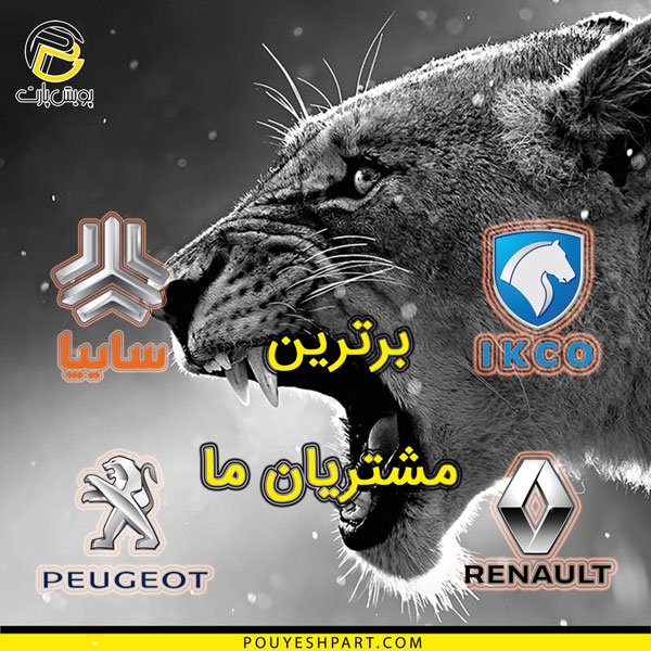 مشتریان ما مشتریان ما